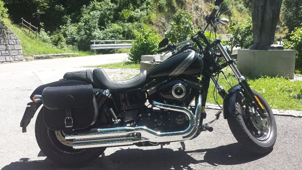 Harley-Davidson Dyna Fat Bob  Image 1